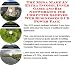 The Mega Make An Extra Income, Inner Game and Biz Networking for Computer Sleeves Web Businesses 3 CD Power Pack