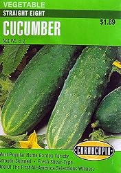 Cucumber Straight Eight Seeds 90 Seeds