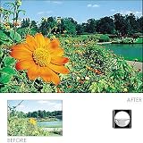 Cokin P113 Split Field +3 Filter with Protective Case