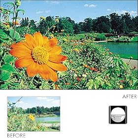 Click here to buy Cokin Series P Split Field Filter +3 by Cokin.