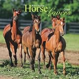 Horse Lovers 2009 7X7 Mini Wall Calendar