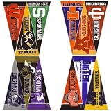 Big Ten Conference Mini Pennant Set