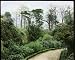 Photographic Prints of Garden with bamboo from Mary Evans