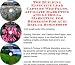 acid_reflux20acid reflux - The Guerilla Marketing Building Effective Lead Capture Web