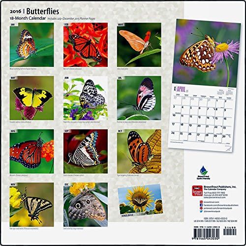Butterflies 2016 Wall Calendar (12x12)
