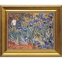 Irises Framed Art Collection
