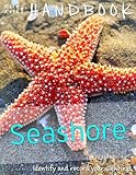 Seashore : handbook