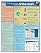Internet Guide (Quick Study Computer)
