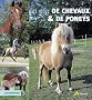 Les races de chevaux et de poneys