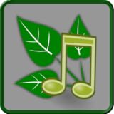 Nature Sounds ~ Zodinplex