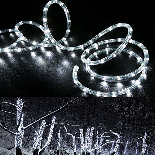 WYZworks 100′ feet Cool White 3/8″ LED Rope Lights – Crystal Clear PVC Tube IP65 Water Resistant Flexible 2 Wire Accent Holiday Christmas Party Decoration Lighting