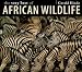 The Very Best of African Wildlife