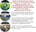 Search Our Specialty Mall : The Insider's Super Marketing, Godfather Principles and eCommerce for Coin Collecting Kits Web Biz 3 Course + Resource Guide