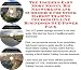 The Insider's Earn More Money, Biz Networking and eCommerce for Stock Market Trading Courses On-line Businesses 3 CD Power Pack