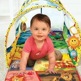 Baby Einstein Animal Exploration Tunnel, Baby Einstein, Animal Exploration Tunnel