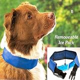 61s7jOFeEpL. SL160  COOL DOG COLLAR WITH REMOVABLE ICE PACK   SIZE MEDIUM (FITS NECK 17" TO 21")