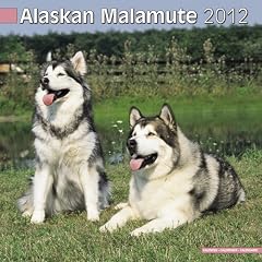 Kalender 2012 Alaskan Malamute