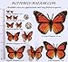 Butterfly 3D Translucent Decoration 15 ORANGE Butterflies