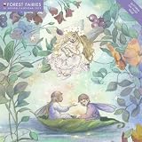 Forest Fairies 2011 Wall Calendar