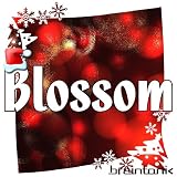 BlossomHolidayEdition