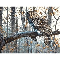 Paint by Number Wise Owl