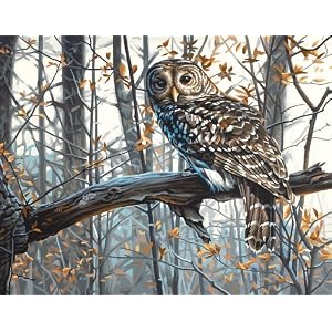 Dimensions-PaintWorks-Paint-By-Number-Wise-Owl