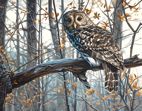 Dimensions PaintWorks/Paint By Number Wise Owl