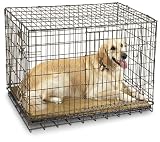 Sporting Goods : Advantek® Collapsible Pet Kennel 48x31x34'