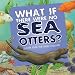 What If There Were No Sea Otters?: A Book about the Ocean Ecosystem (Food Chain Reactions)