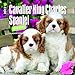 Cavalier King Charles Spaniel Puppies 2017 Calendar