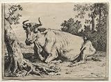Hand Made Oil Reproduction - Paulus Potter - 32 x 24 inches - The cow lying down near a tree