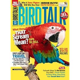 Bird Talk (1-year)
