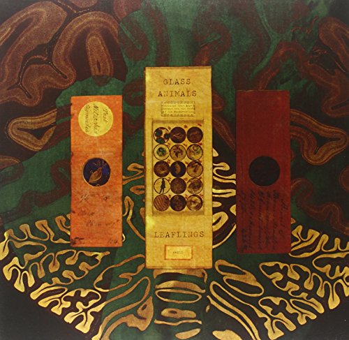 GLASS ANIMALS - Cocoa Hooves Lyrics - Zortam Music