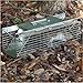 Havahart 1025 Live Animal Two-Door Chipmunk, Small Squirrel, Rat, and Weasel Cage Trap