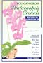You Can Grow Phalaenopsis Orchids