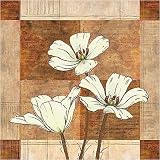 Bosca I art print 30x30cm by Linda Wood