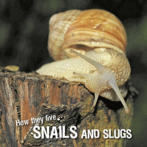 How they live... Snails and Slugs: Learn All There Is to Know About These Animals!