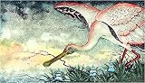 Hand-Colored Etching Spoonbill by Dan Mitra 59/750
