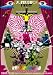 SUPER DISCO Hits!!! the telephones ONE-MAN SHOW!!! [DVD]