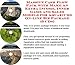 Massive Cash Flow Pack with Make An Extra Income, Inner Game and Sales Models for Aquariums On-line Biz Package (3 CDs)