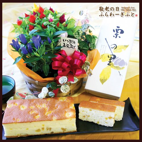 【秋の花鉢の寄せ入れと栗入りカステラのセット】【敬老の日ギフト】特別価格3980円