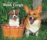Welsh Corgis, for the Love of 2008 Deluxe Wall: Deluxe 14x12