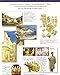 Campania, Art and Archeology