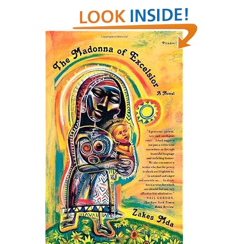 The Madonna of Excelsior: A Novel
