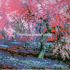 Tropical Brainforest