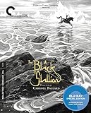 CRITERION COLLECTION: BLACK STALLION