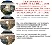 Book The Insider's Generate Extra Cash, Sales Models and eCommerce for Bridal Shower Games On-line Businesses 3 CD Pack