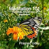 Meditation 101: The What, Why & How of Meditation