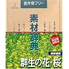 素材辞典 Vol.20 群生の花・桜編