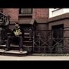 SKYZOO - THE BEAUTIFUL DECAY Music Video